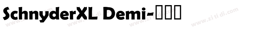 SchnyderXL Demi字体转换